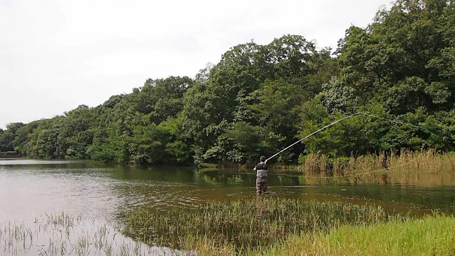 スウィッチキャスト Switch Cast Fly Fishing Blood Knot ブラッドノット フライフィッシング サイト