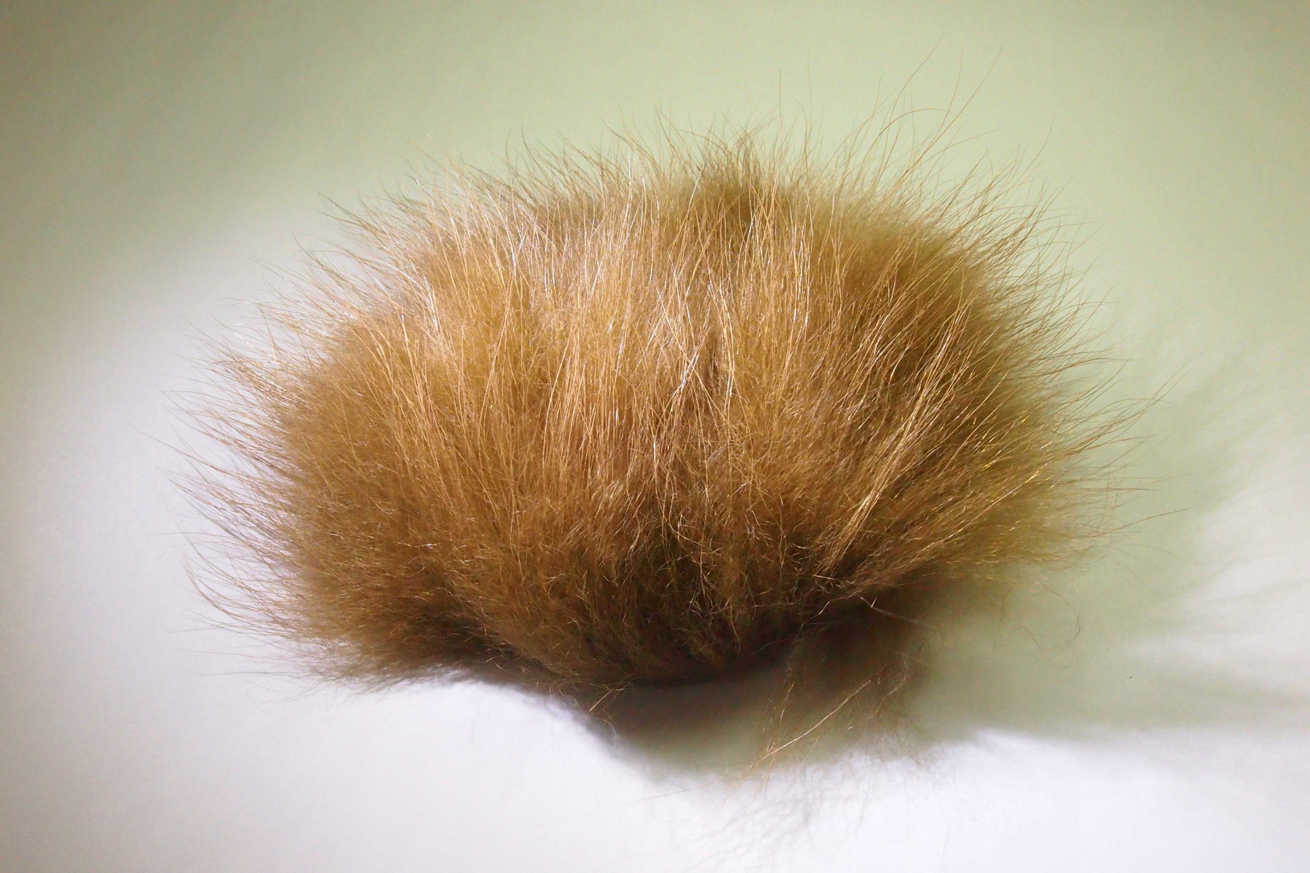 フィンラクーン(Finn Raccoon) | Fly Fishing BLOOD KNOT | ブラッドノット